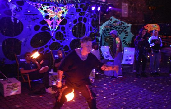 2025 Trip To Alice Land